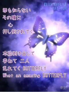 Butterfly 携帯ﾎｰﾑﾍﾟｰｼﾞ ﾌｫﾚｽﾄ